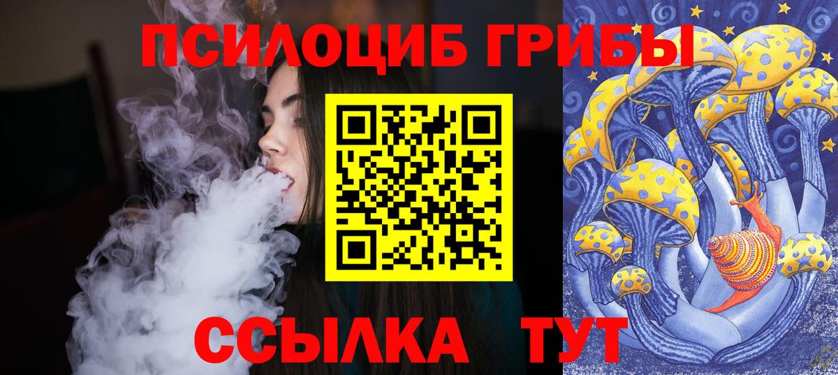 Псилоцибиновые грибы мухоморы Салехард